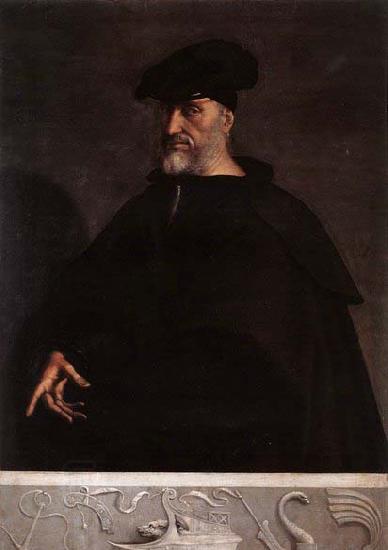 Sebastiano del Piombo Portrait of Andrea Doria China oil painting art